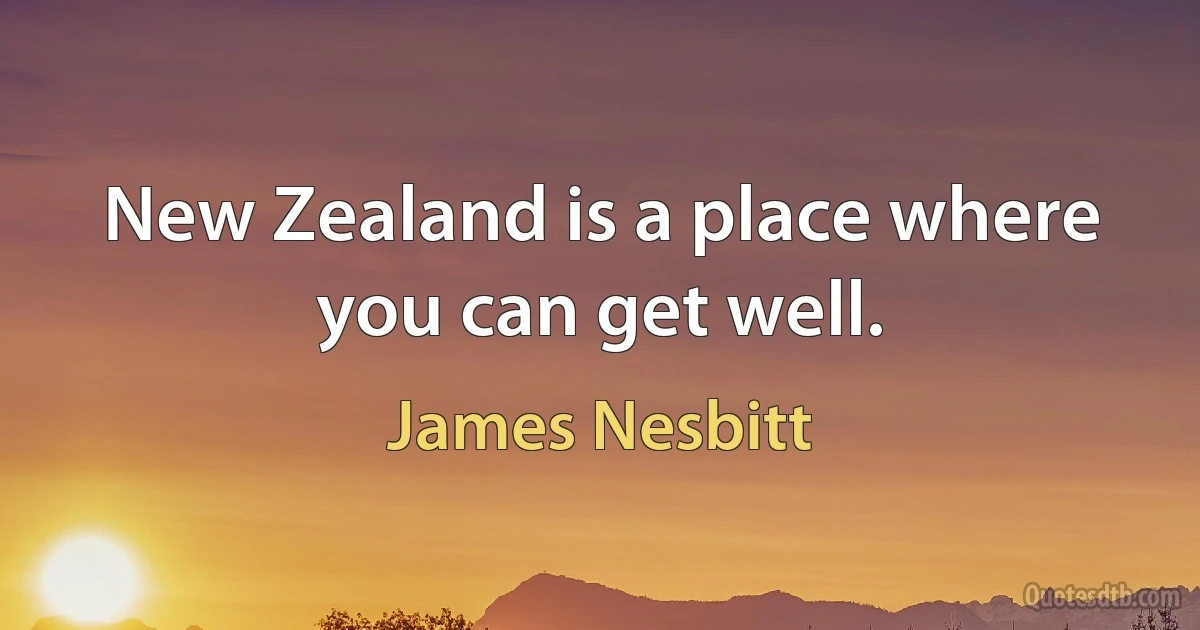 New Zealand is a place where you can get well. (James Nesbitt)