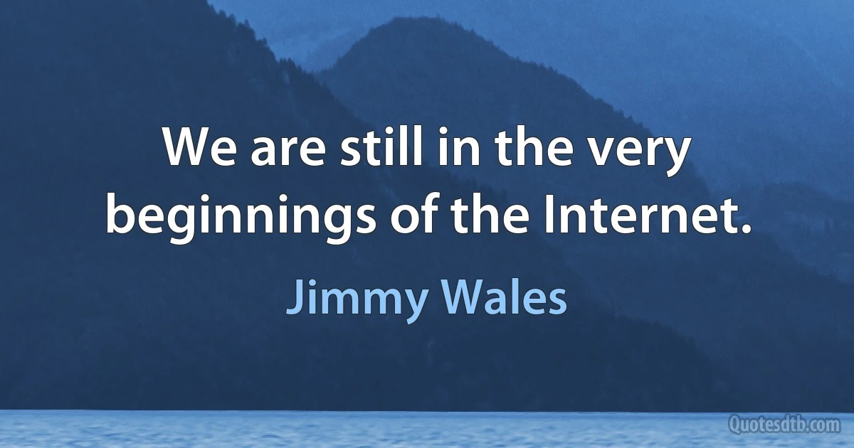 We are still in the very beginnings of the Internet. (Jimmy Wales)