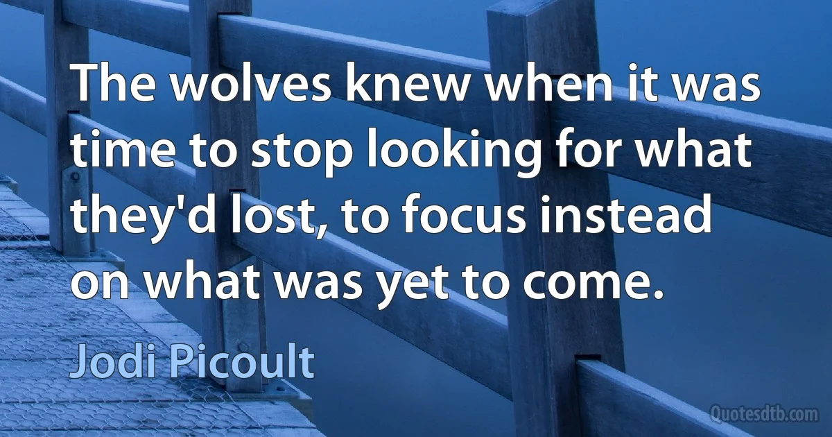 The wolves knew when it was time to stop looking for what they'd lost, to focus instead on what was yet to come. (Jodi Picoult)