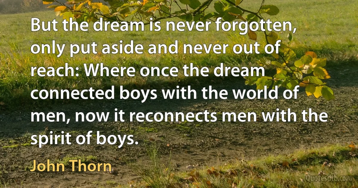 But the dream is never forgotten, only put aside and never out of reach: Where once the dream connected boys with the world of men, now it reconnects men with the spirit of boys. (John Thorn)