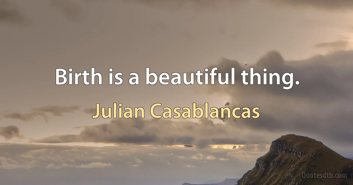 Birth is a beautiful thing. (Julian Casablancas)