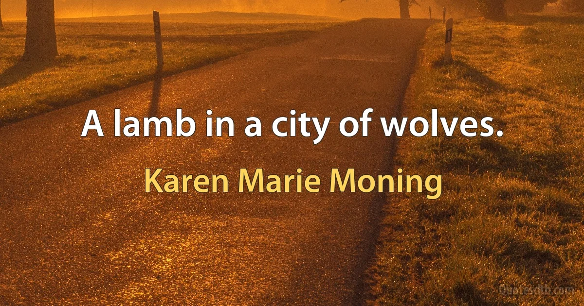 A lamb in a city of wolves. (Karen Marie Moning)