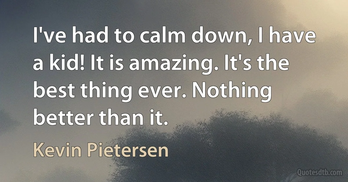 I've had to calm down, I have a kid! It is amazing. It's the best thing ever. Nothing better than it. (Kevin Pietersen)