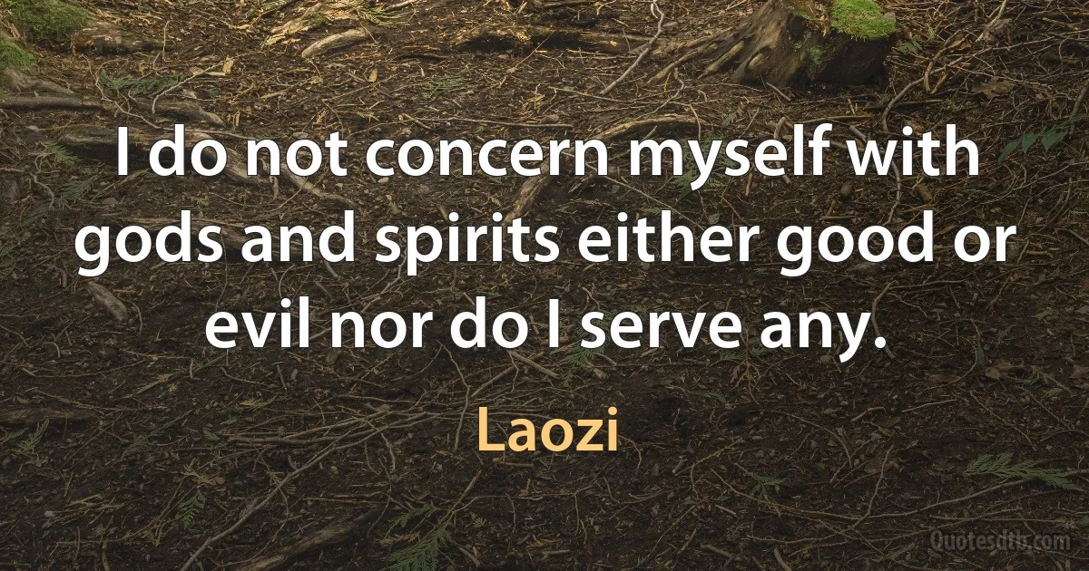 I do not concern myself with gods and spirits either good or evil nor do I serve any. (Laozi)