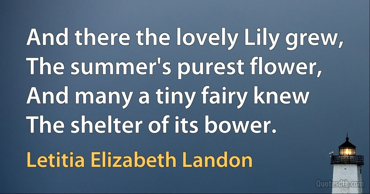 And there the lovely Lily grew,
The summer's purest flower,
And many a tiny fairy knew
The shelter of its bower. (Letitia Elizabeth Landon)