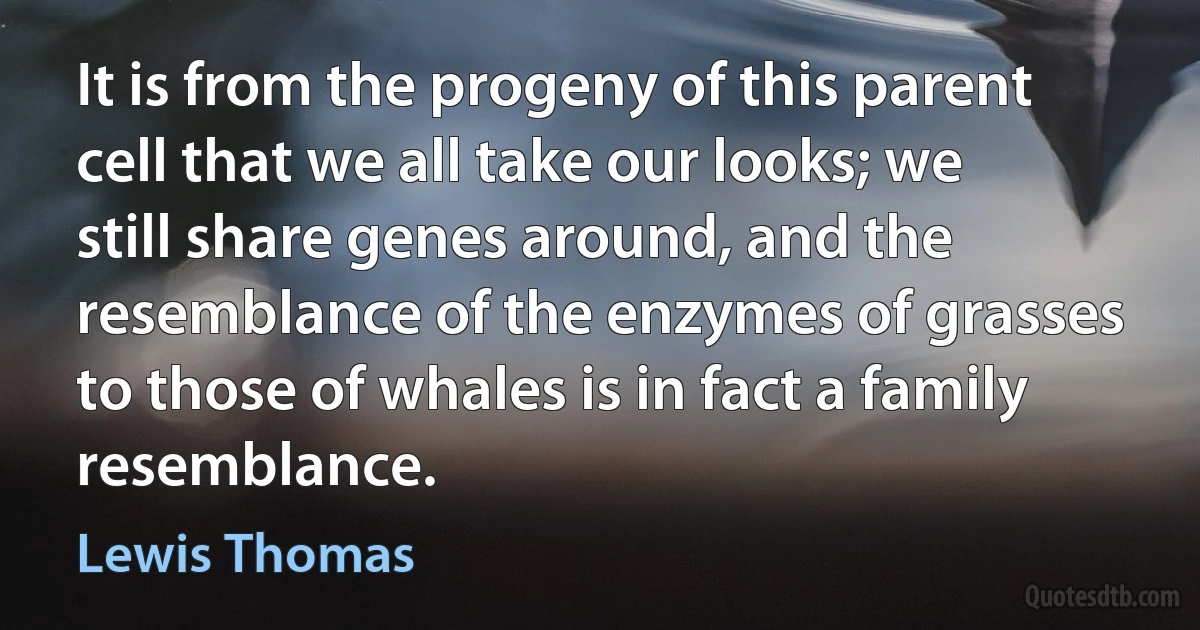 It is from the progeny of this parent cell that we all take our looks; we still share genes around, and the resemblance of the enzymes of grasses to those of whales is in fact a family resemblance. (Lewis Thomas)