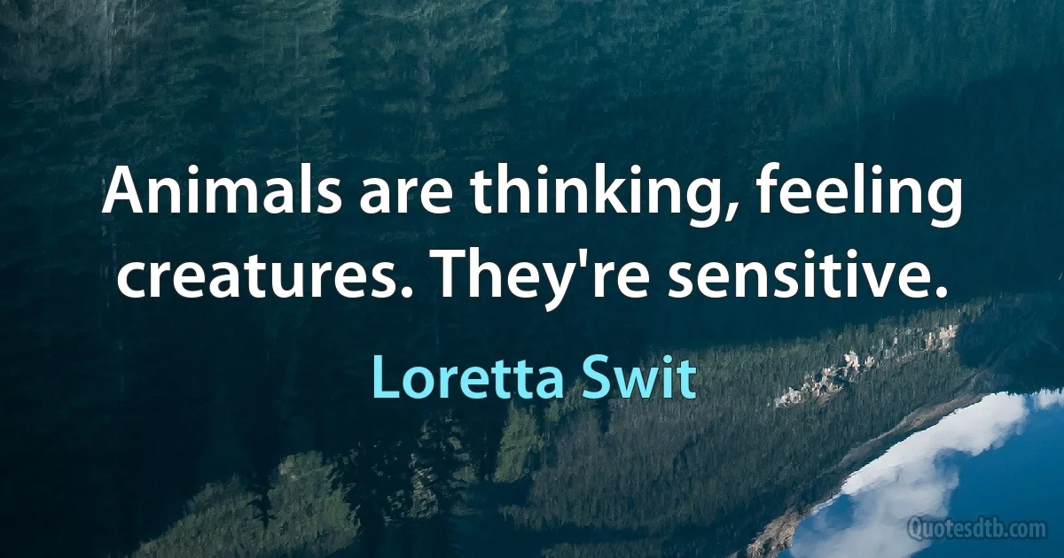 Animals are thinking, feeling creatures. They're sensitive. (Loretta Swit)