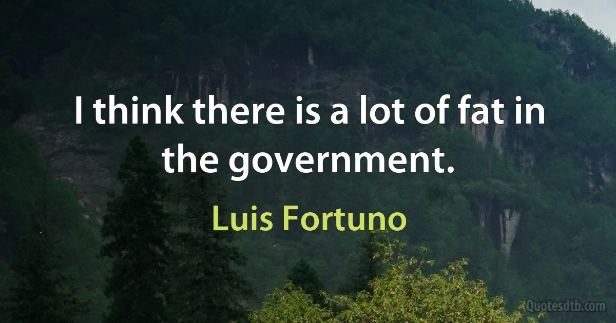 I think there is a lot of fat in the government. (Luis Fortuno)