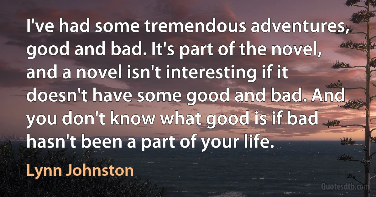 I've had some tremendous adventures, good and bad. It's part of the novel, and a novel isn't interesting if it doesn't have some good and bad. And you don't know what good is if bad hasn't been a part of your life. (Lynn Johnston)