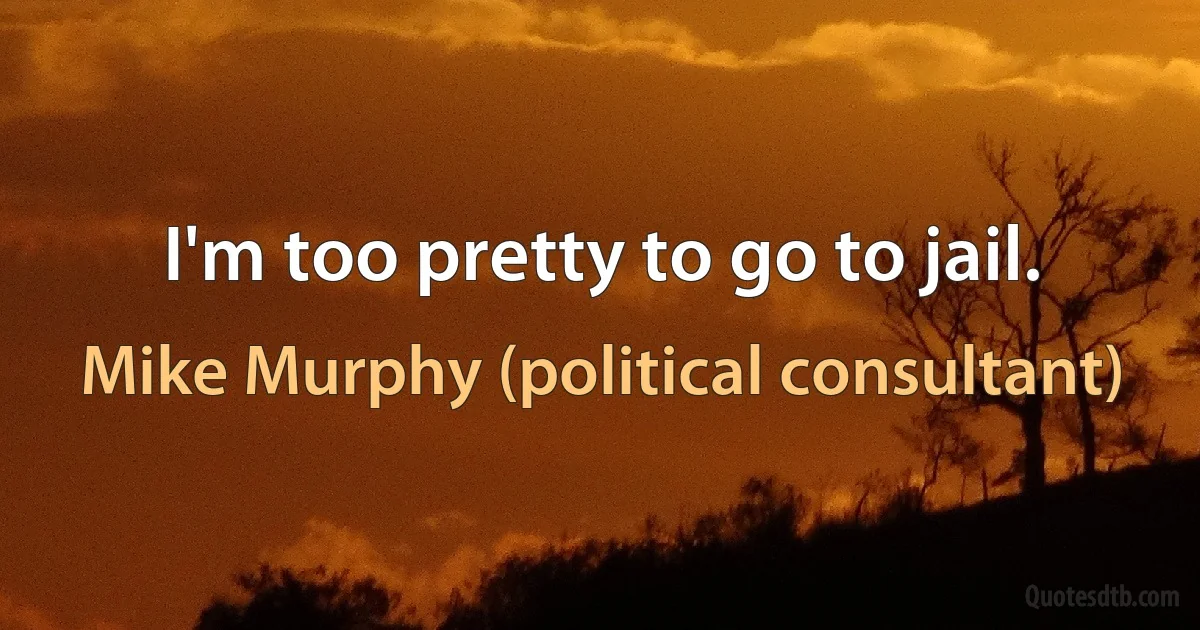 I'm too pretty to go to jail. (Mike Murphy (political consultant))