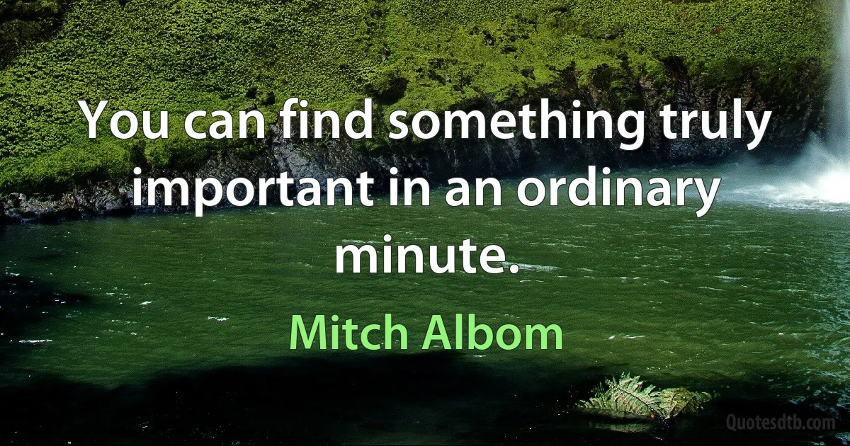 You can find something truly important in an ordinary minute. (Mitch Albom)