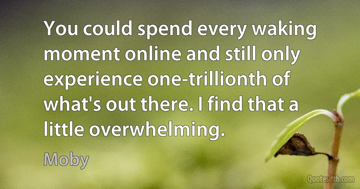 You could spend every waking moment online and still only experience one-trillionth of what's out there. I find that a little overwhelming. (Moby)