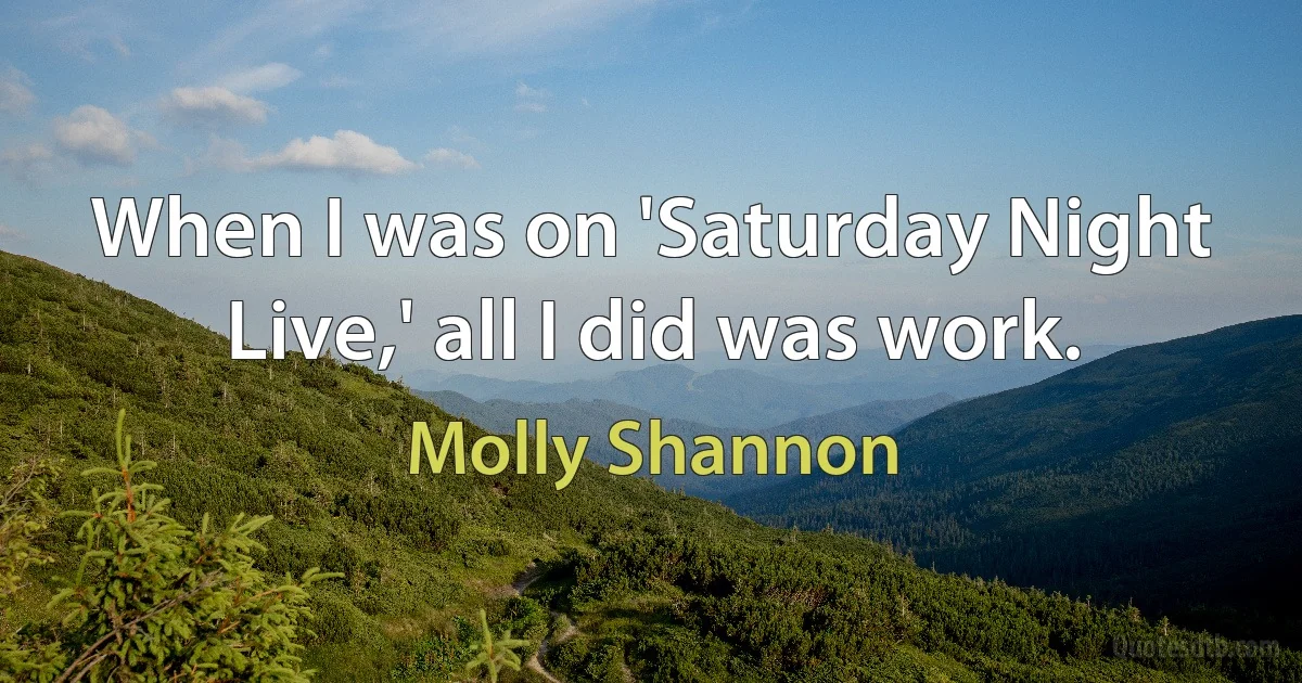 When I was on 'Saturday Night Live,' all I did was work. (Molly Shannon)