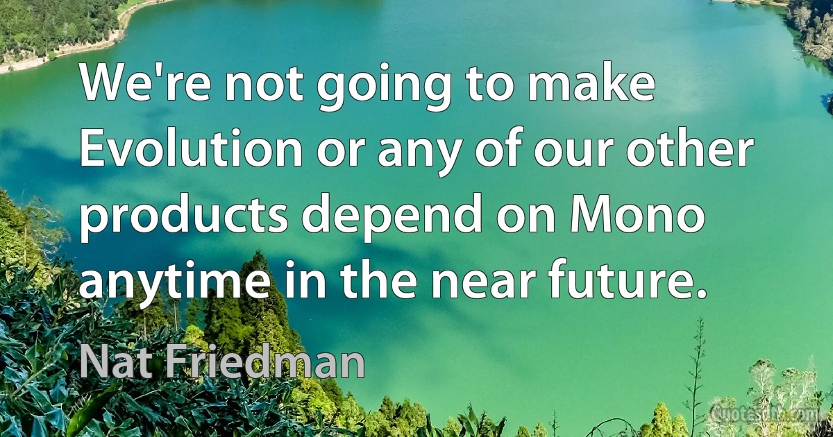 We're not going to make Evolution or any of our other products depend on Mono anytime in the near future. (Nat Friedman)