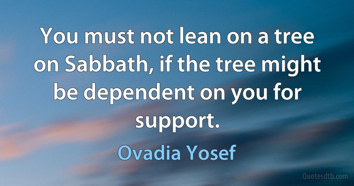 You must not lean on a tree on Sabbath, if the tree might be dependent on you for support. (Ovadia Yosef)