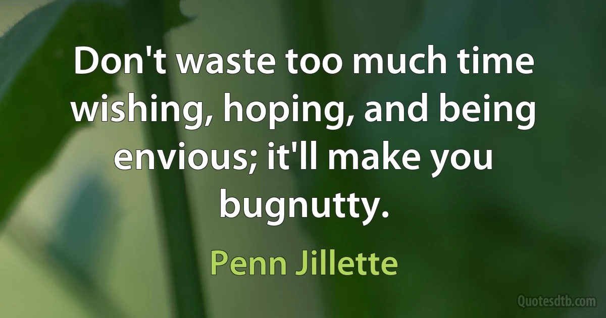 Don't waste too much time wishing, hoping, and being envious; it'll make you bugnutty. (Penn Jillette)