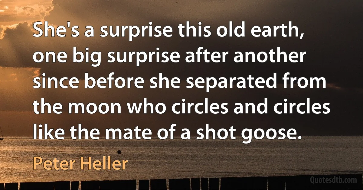 She's a surprise this old earth, one big surprise after another since before she separated from the moon who circles and circles like the mate of a shot goose. (Peter Heller)