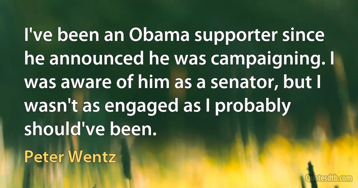 I've been an Obama supporter since he announced he was campaigning. I was aware of him as a senator, but I wasn't as engaged as I probably should've been. (Peter Wentz)