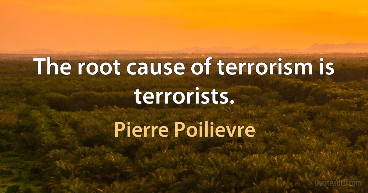 The root cause of terrorism is terrorists. (Pierre Poilievre)