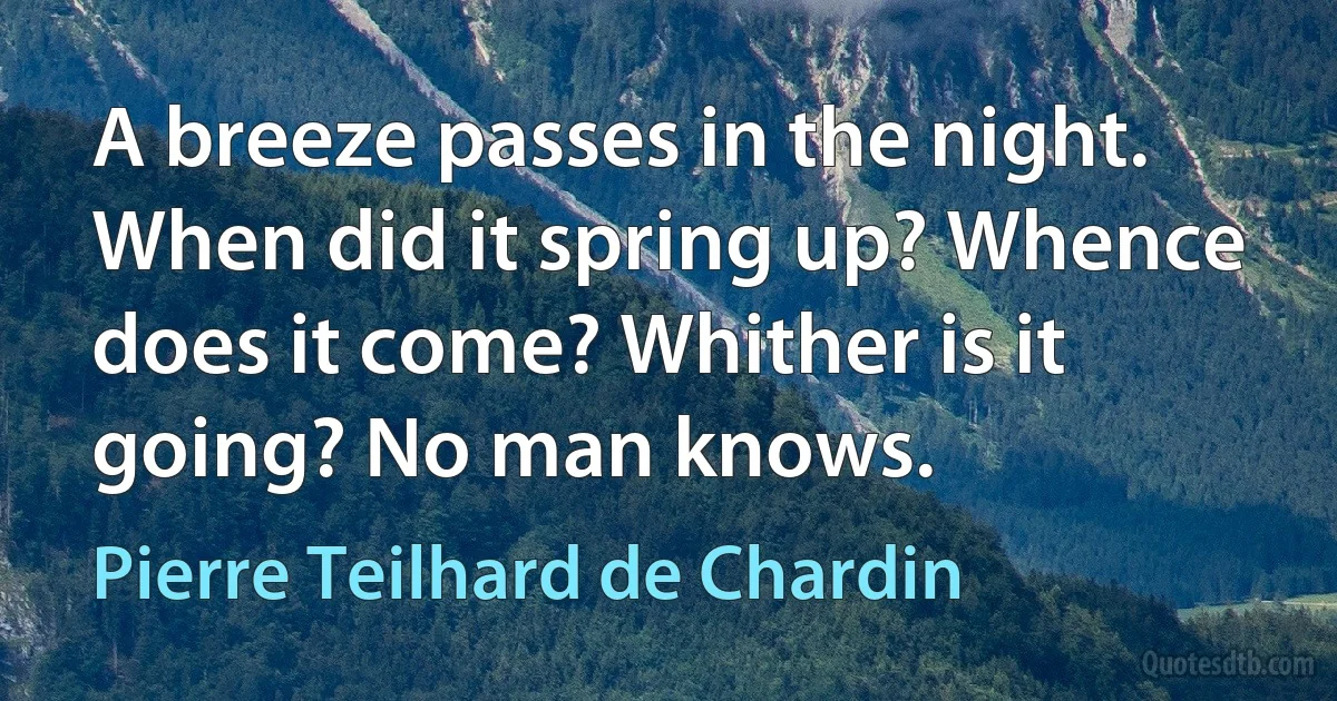 A breeze passes in the night. When did it spring up? Whence does it come? Whither is it going? No man knows. (Pierre Teilhard de Chardin)