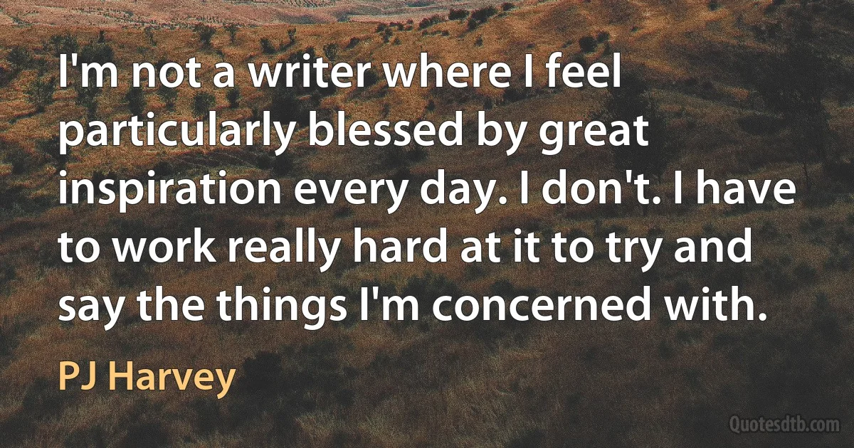 I'm not a writer where I feel particularly blessed by great inspiration every day. I don't. I have to work really hard at it to try and say the things I'm concerned with. (PJ Harvey)