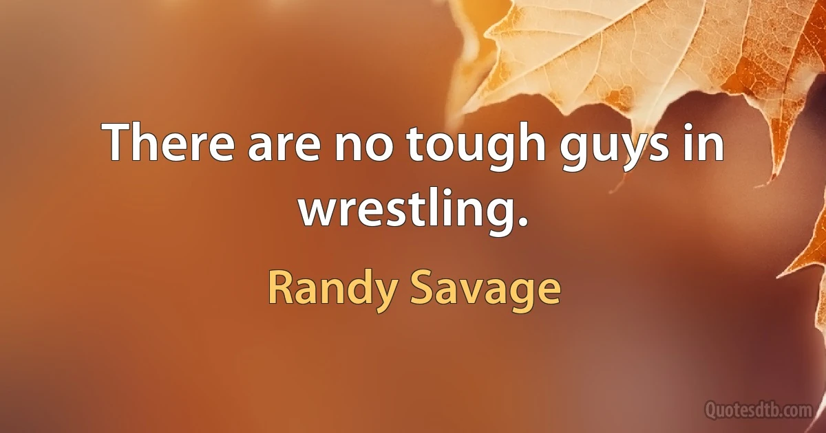 There are no tough guys in wrestling. (Randy Savage)