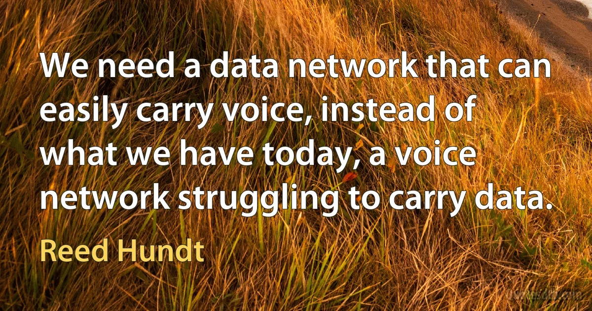 We need a data network that can easily carry voice, instead of what we have today, a voice network struggling to carry data. (Reed Hundt)