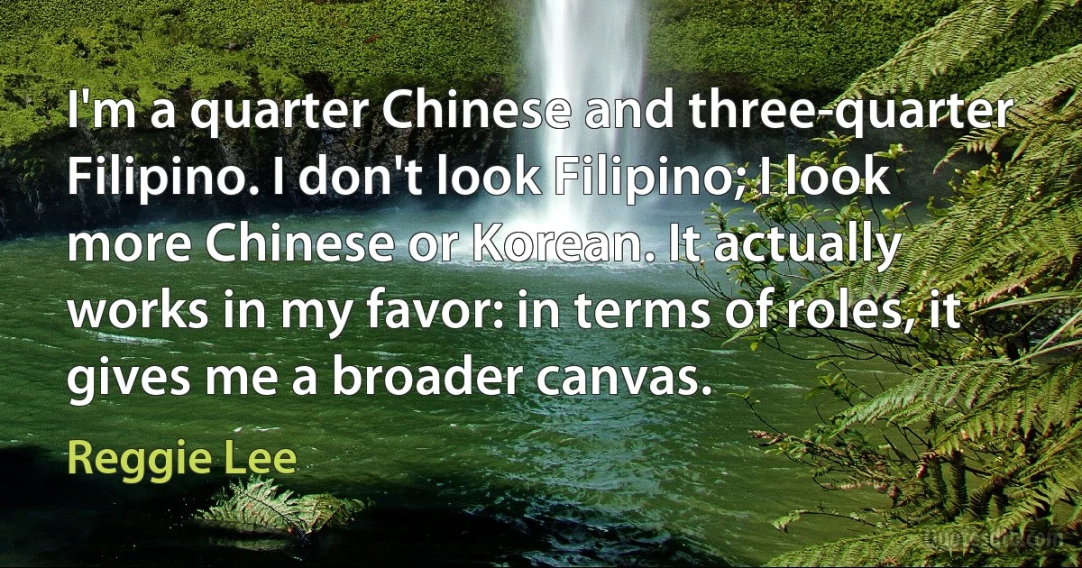 I'm a quarter Chinese and three-quarter Filipino. I don't look Filipino; I look more Chinese or Korean. It actually works in my favor: in terms of roles, it gives me a broader canvas. (Reggie Lee)