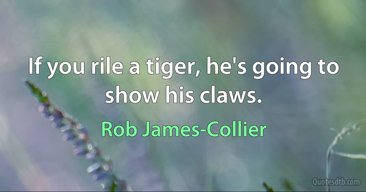 If you rile a tiger, he's going to show his claws. (Rob James-Collier)