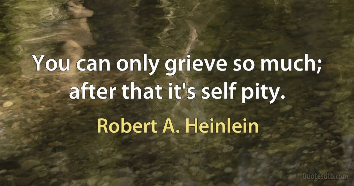 You can only grieve so much; after that it's self pity. (Robert A. Heinlein)