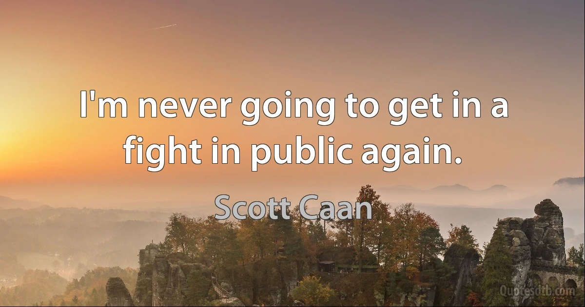 I'm never going to get in a fight in public again. (Scott Caan)