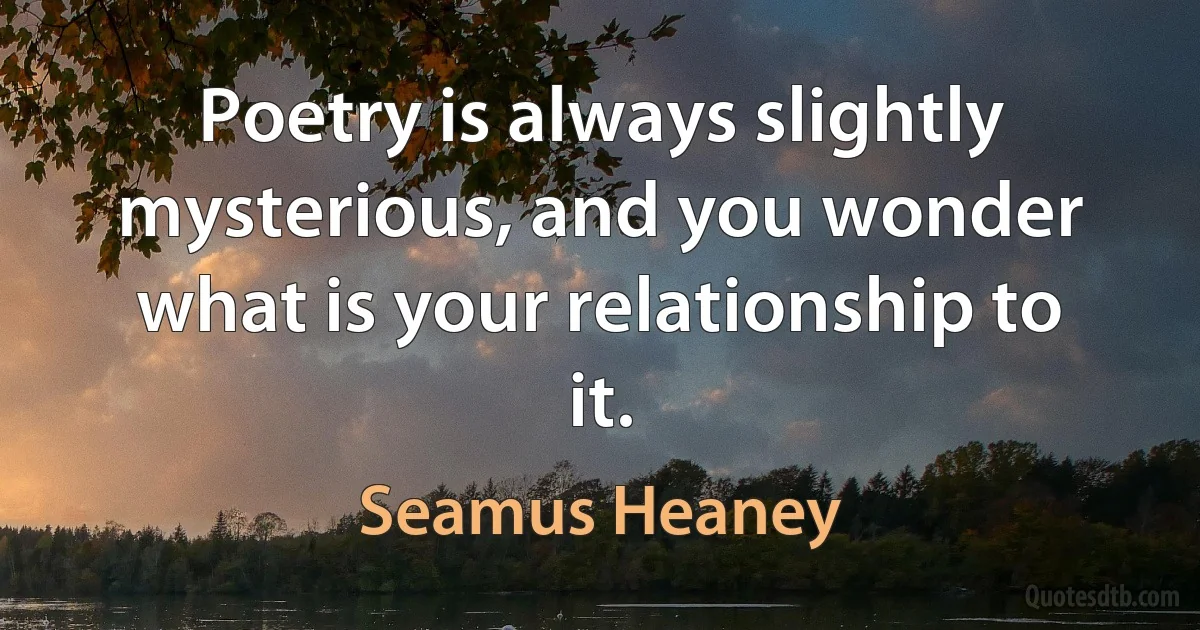 Poetry is always slightly mysterious, and you wonder what is your relationship to it. (Seamus Heaney)