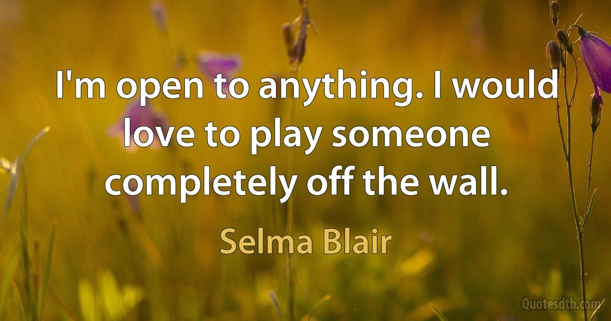 I'm open to anything. I would love to play someone completely off the wall. (Selma Blair)