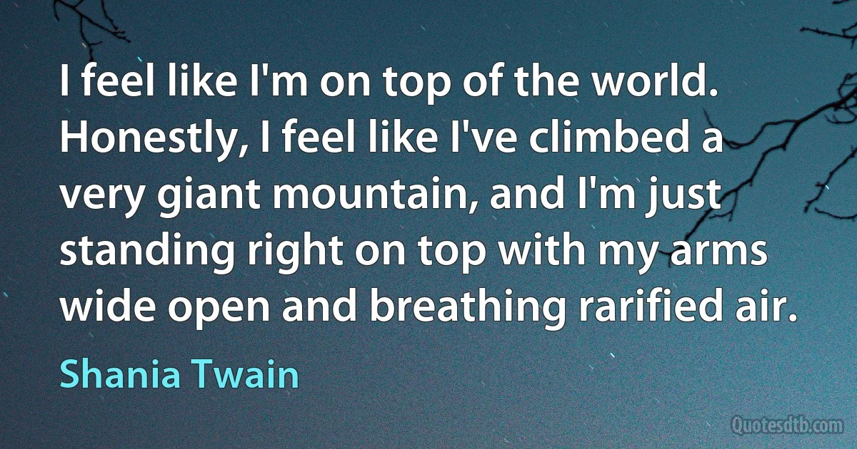 I feel like I'm on top of the world. Honestly, I feel like I've climbed a very giant mountain, and I'm just standing right on top with my arms wide open and breathing rarified air. (Shania Twain)