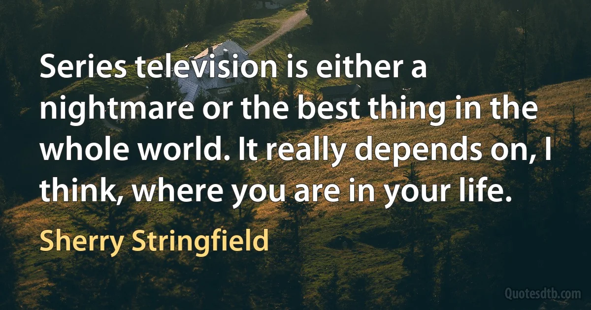 Series television is either a nightmare or the best thing in the whole world. It really depends on, I think, where you are in your life. (Sherry Stringfield)