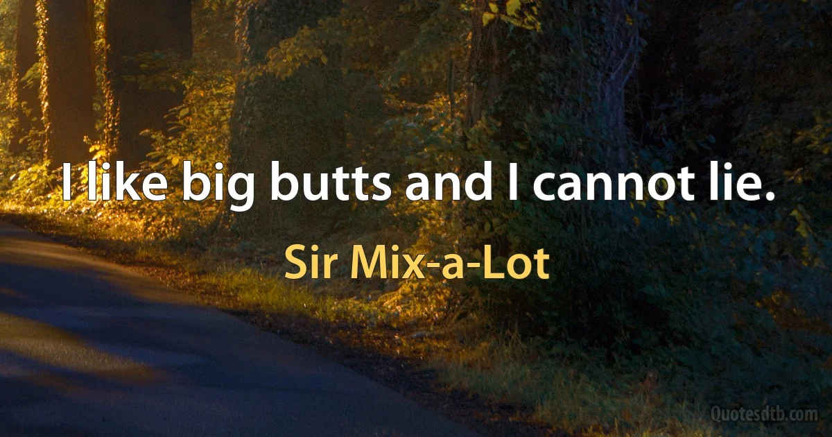 I like big butts and I cannot lie. (Sir Mix-a-Lot)