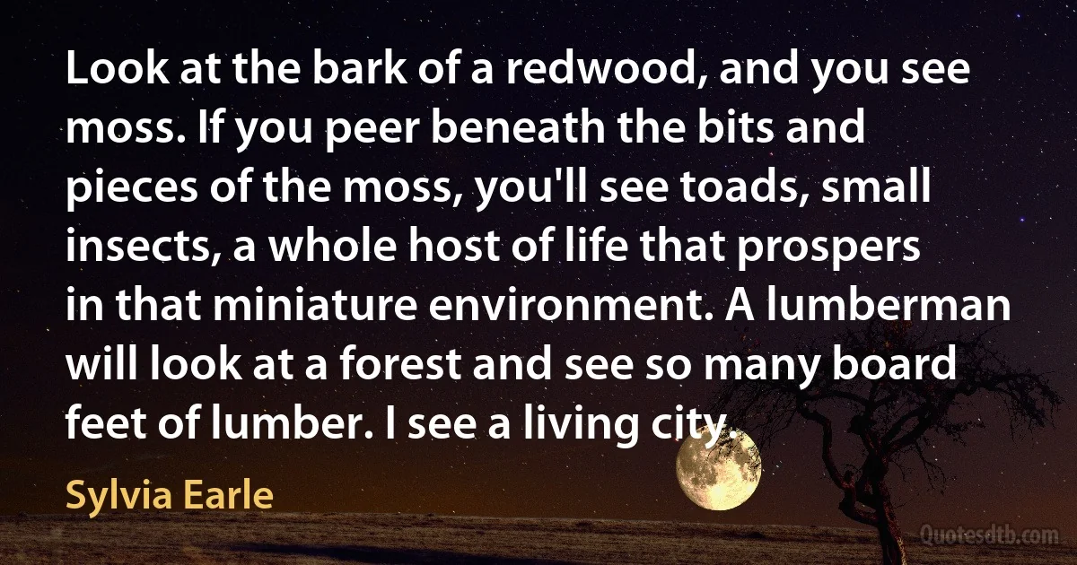 Look at the bark of a redwood, and you see moss. If you peer beneath the bits and pieces of the moss, you'll see toads, small insects, a whole host of life that prospers in that miniature environment. A lumberman will look at a forest and see so many board feet of lumber. I see a living city. (Sylvia Earle)