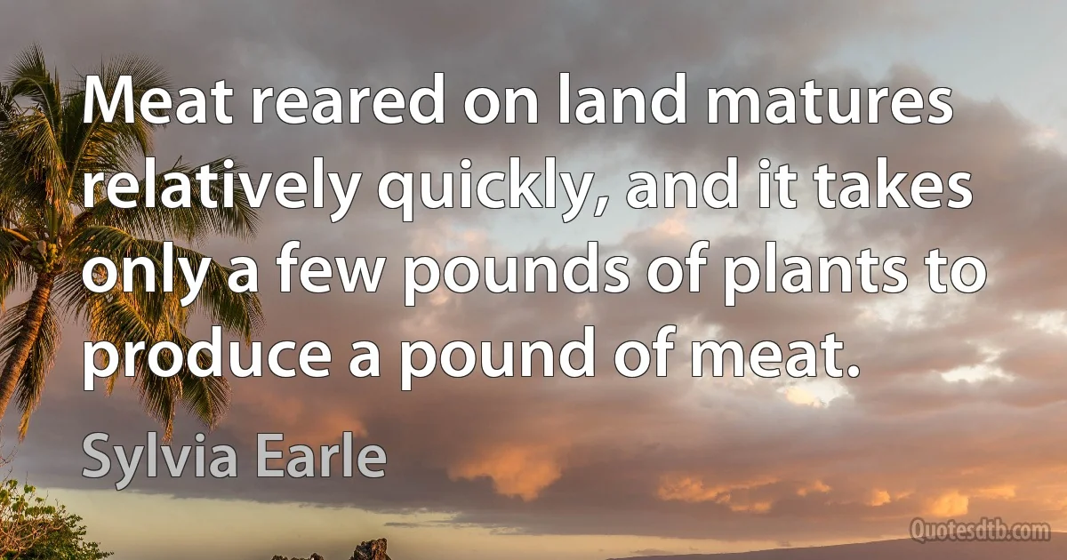 Meat reared on land matures relatively quickly, and it takes only a few pounds of plants to produce a pound of meat. (Sylvia Earle)