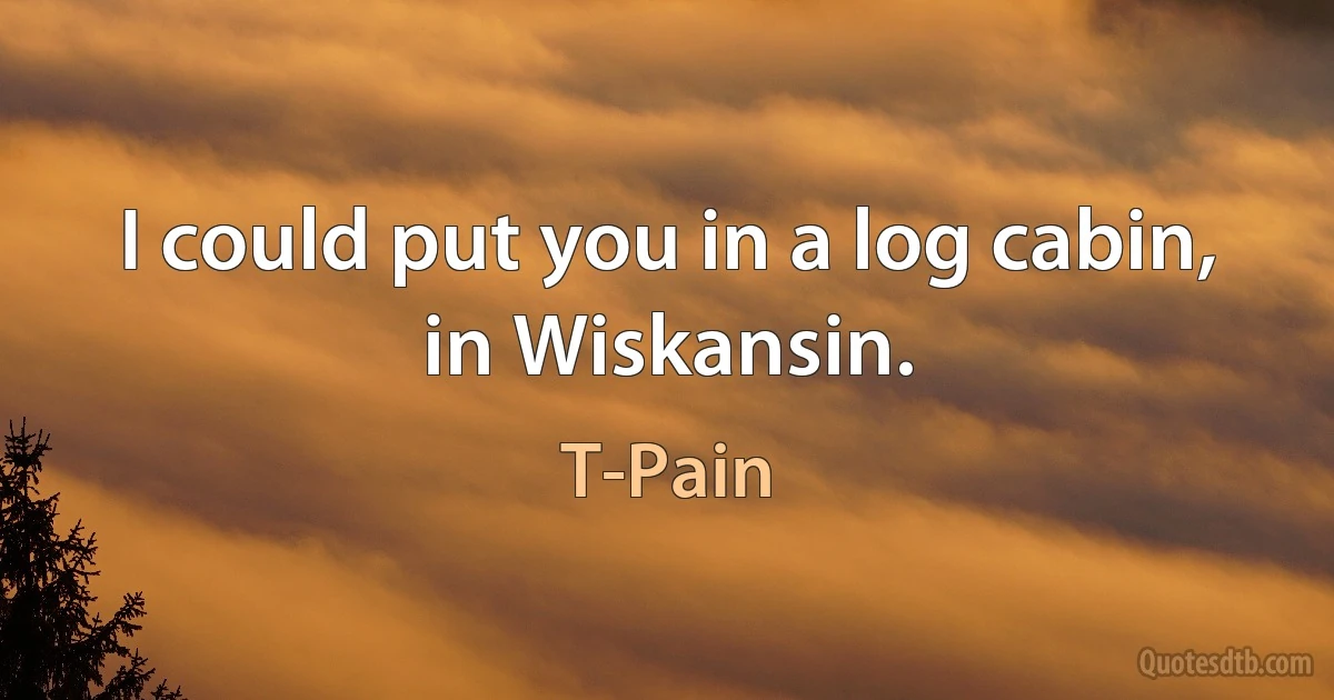 I could put you in a log cabin, in Wiskansin. (T-Pain)