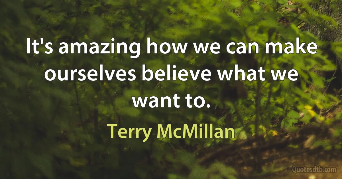 It's amazing how we can make ourselves believe what we want to. (Terry McMillan)