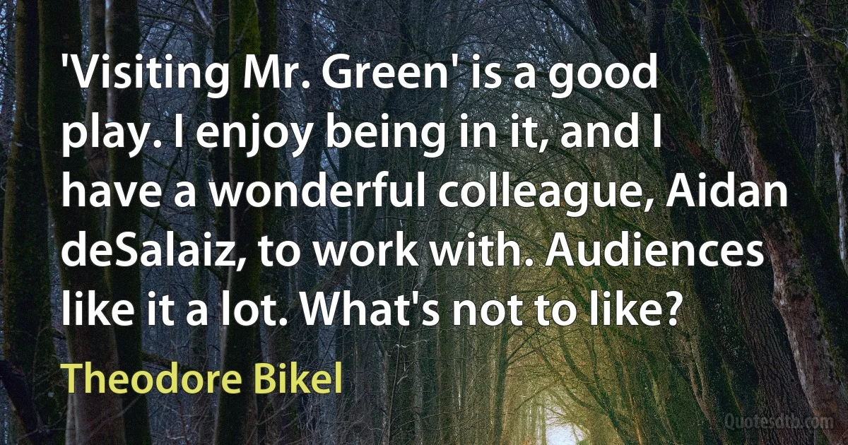 'Visiting Mr. Green' is a good play. I enjoy being in it, and I have a wonderful colleague, Aidan deSalaiz, to work with. Audiences like it a lot. What's not to like? (Theodore Bikel)