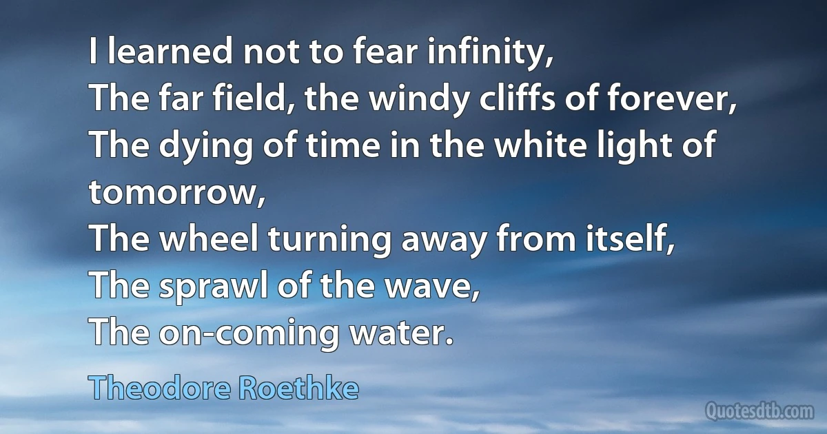 I learned not to fear infinity,
The far field, the windy cliffs of forever,
The dying of time in the white light of tomorrow,
The wheel turning away from itself,
The sprawl of the wave,
The on-coming water. (Theodore Roethke)