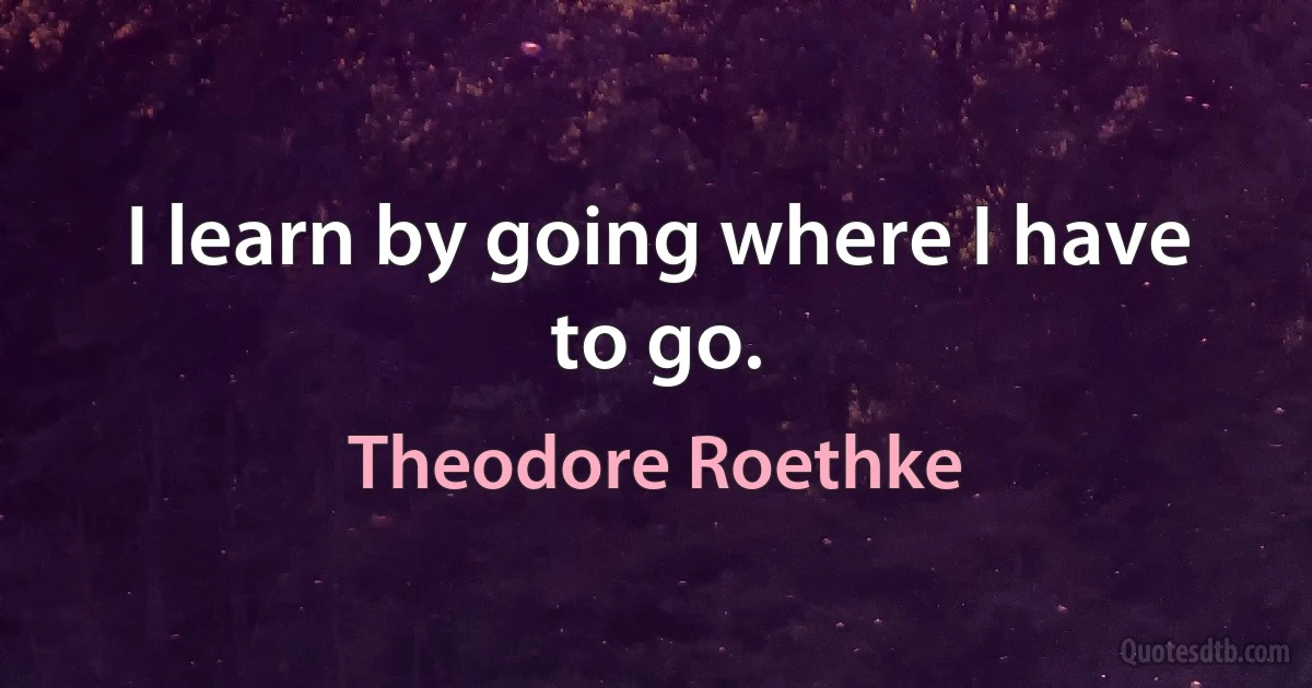 I learn by going where I have to go. (Theodore Roethke)