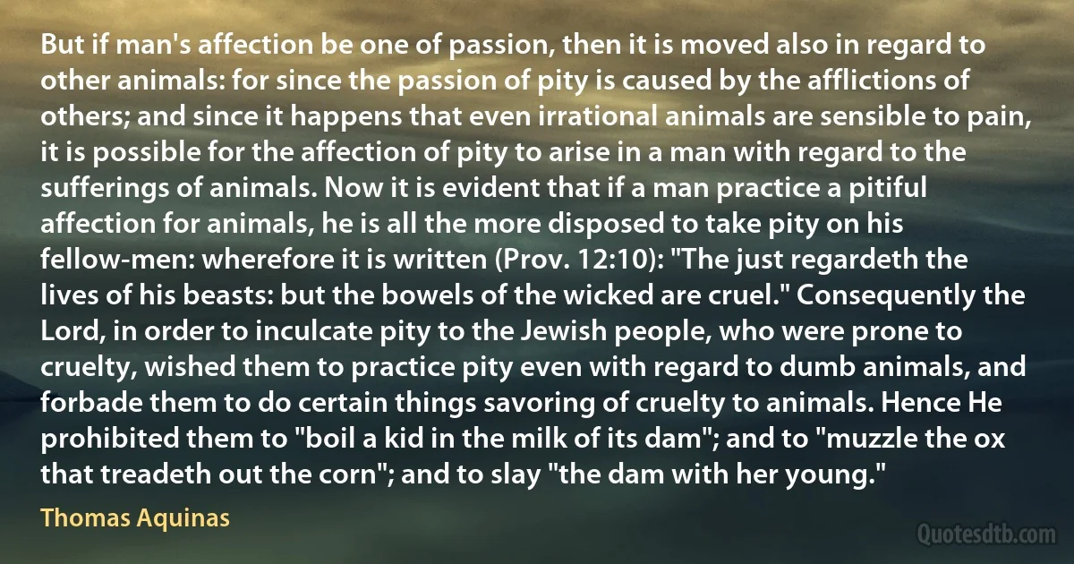 But if man's affection be one of passion, then it is moved also in regard to other animals: for since the passion of pity is caused by the afflictions of others; and since it happens that even irrational animals are sensible to pain, it is possible for the affection of pity to arise in a man with regard to the sufferings of animals. Now it is evident that if a man practice a pitiful affection for animals, he is all the more disposed to take pity on his fellow-men: wherefore it is written (Prov. 12:10): "The just regardeth the lives of his beasts: but the bowels of the wicked are cruel." Consequently the Lord, in order to inculcate pity to the Jewish people, who were prone to cruelty, wished them to practice pity even with regard to dumb animals, and forbade them to do certain things savoring of cruelty to animals. Hence He prohibited them to "boil a kid in the milk of its dam"; and to "muzzle the ox that treadeth out the corn"; and to slay "the dam with her young." (Thomas Aquinas)