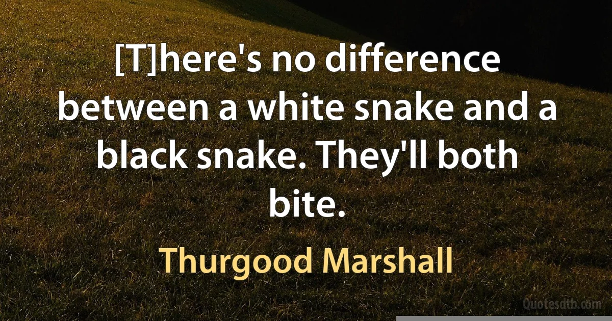 [T]here's no difference between a white snake and a black snake. They'll both bite. (Thurgood Marshall)