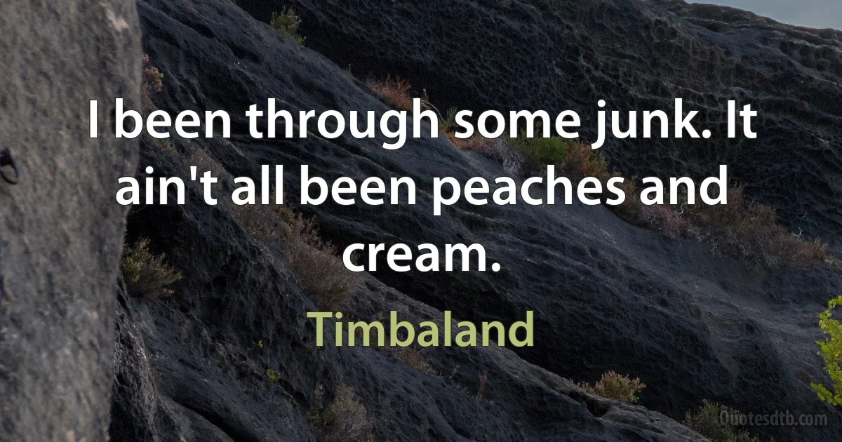 I been through some junk. It ain't all been peaches and cream. (Timbaland)