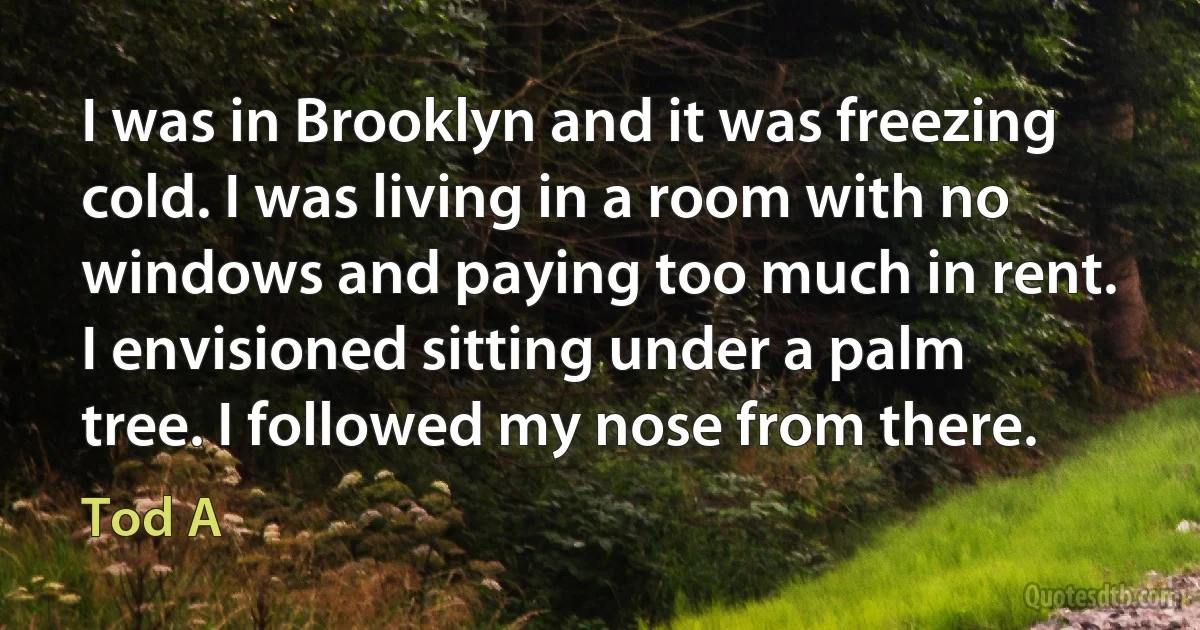 I was in Brooklyn and it was freezing cold. I was living in a room with no windows and paying too much in rent. I envisioned sitting under a palm tree. I followed my nose from there. (Tod A)