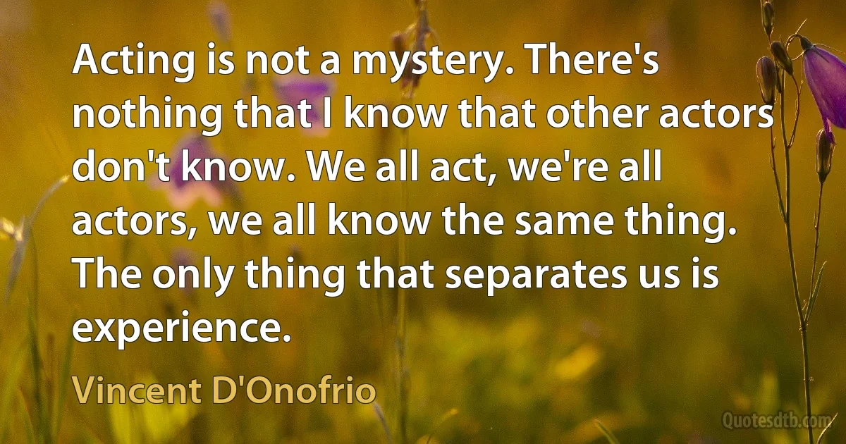 Acting is not a mystery. There's nothing that I know that other actors don't know. We all act, we're all actors, we all know the same thing. The only thing that separates us is experience. (Vincent D'Onofrio)