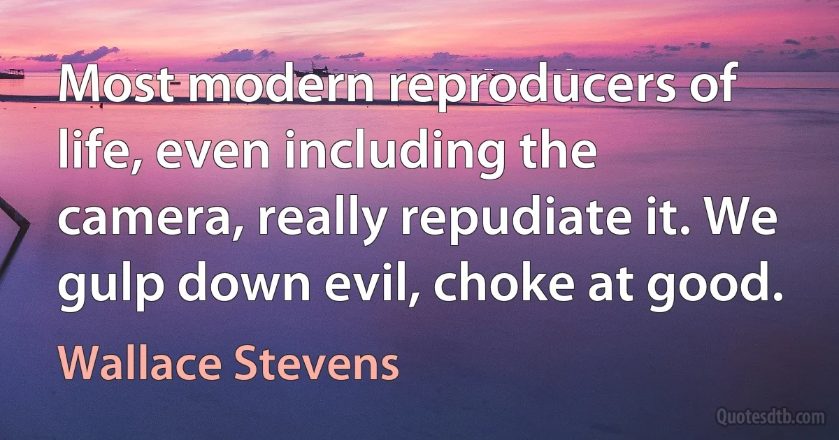 Most modern reproducers of life, even including the camera, really repudiate it. We gulp down evil, choke at good. (Wallace Stevens)