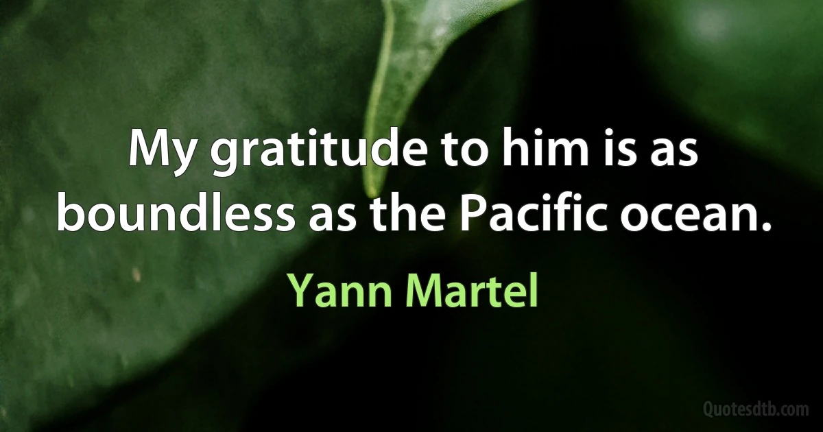 My gratitude to him is as boundless as the Pacific ocean. (Yann Martel)